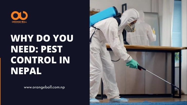 Why Do You Need Pest Control in Nepal