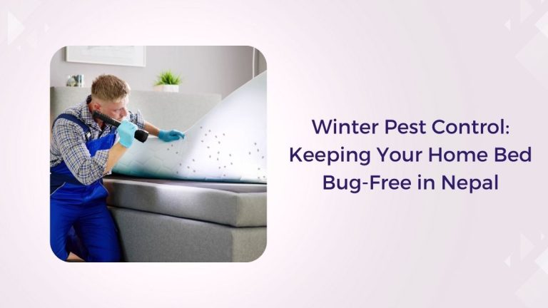 Winter Pest Control Keeping Your Home Bed Bug-Free in Nepal