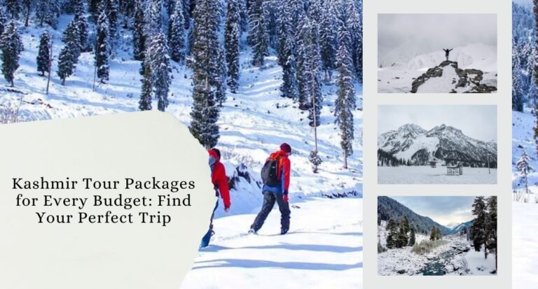 Kashmir Tour Packages for Every Budget Find Your Perfect Trip